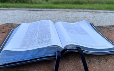 What Is Accreditation and Why It Matters for Students at Calvary Chapel Bible College