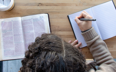 What Do You Study in Bible College?